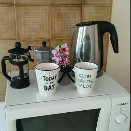 公寓 Vasiliki Garden View *